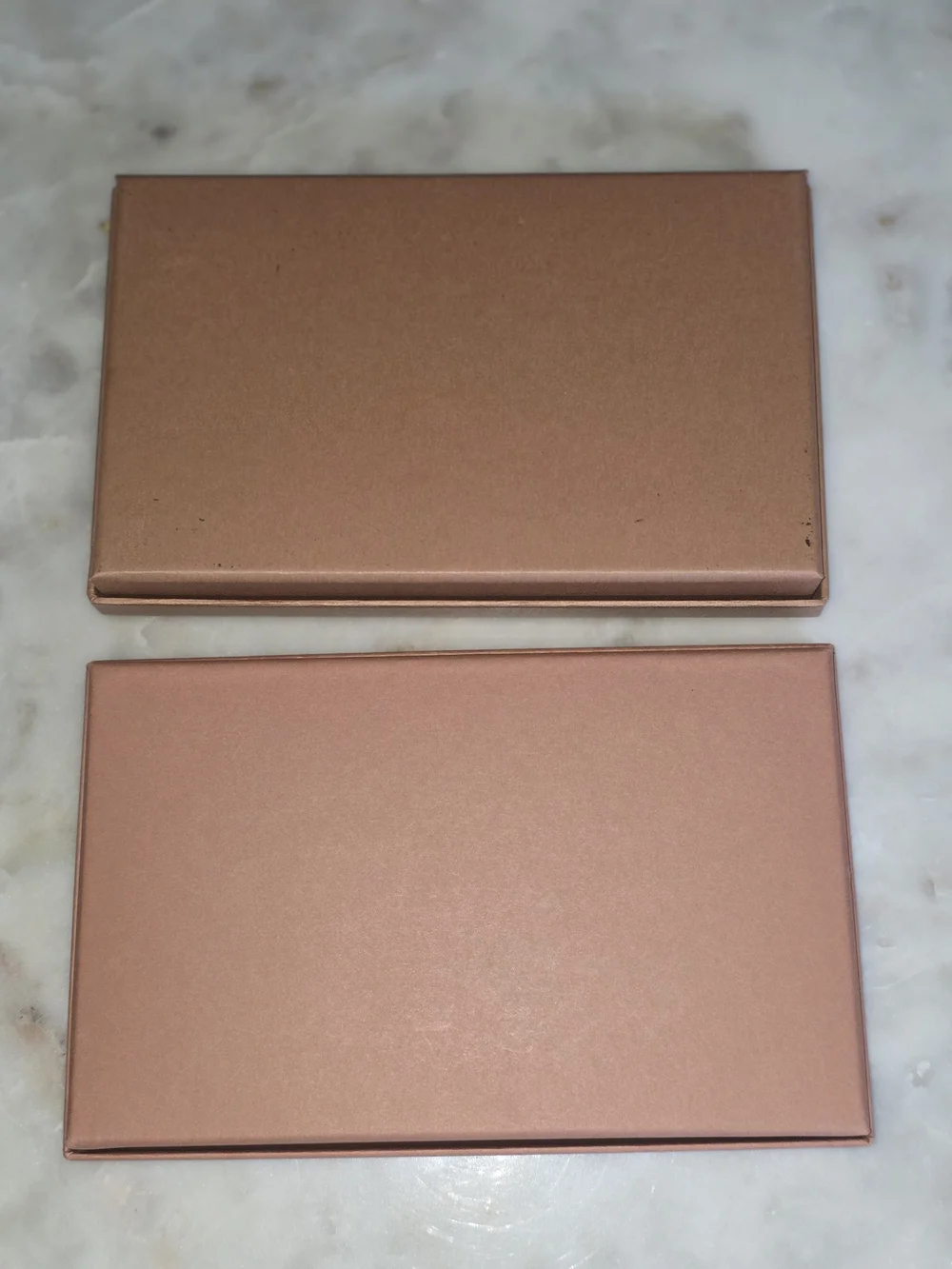 Louis Vuitton authentic louis